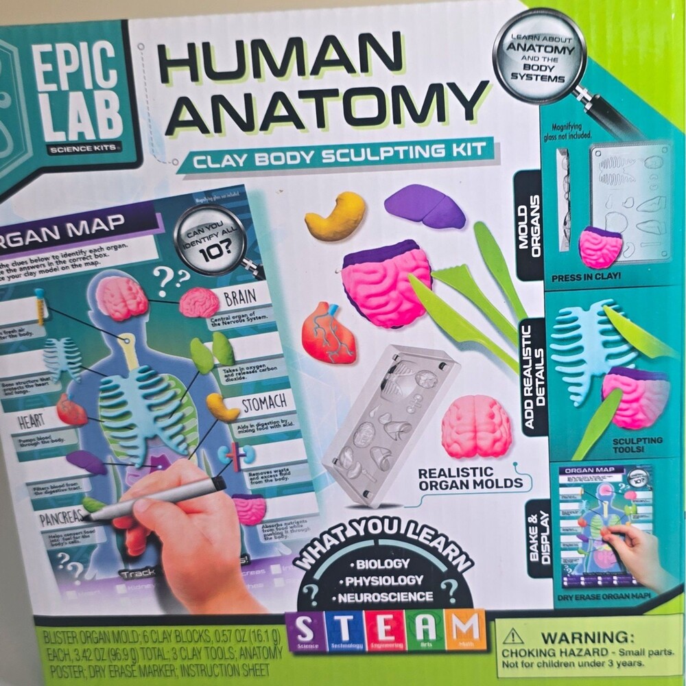 Epic Lab Human Anatomy Clay Body Sculpting Kit, Ages 8+, Age Level 8-11  B2